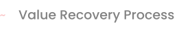 Value Recovery Process
